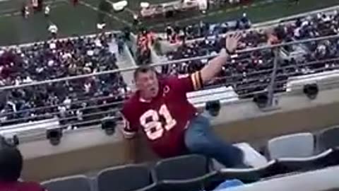 THIS NFL FAN FELL DOWN THE STANDS