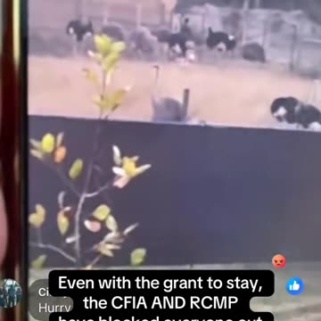 Too many evelwitnesses, Lots of live footage