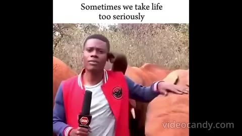 Sometimes we take life too seriously