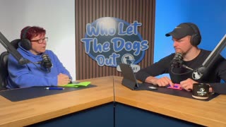 We Answer the Dog Questions Google Gets Every Single Day - Dog Talk Ep. 084