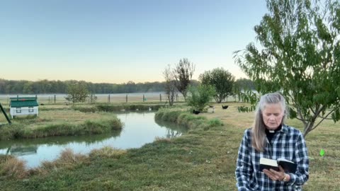 Morning Prayer, Daily Office