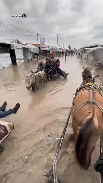 Heavy rainfall has caused widespread flooding across the Gaza Strip