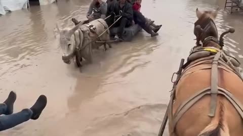 Heavy rainfall has caused widespread flooding across the Gaza Strip