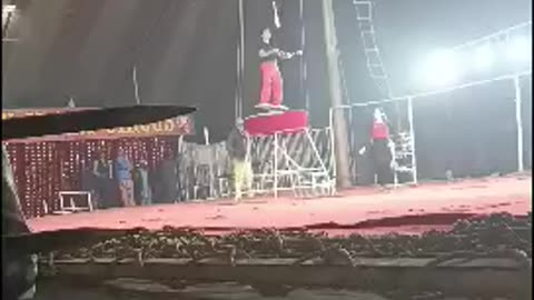 Lucky Irani Circus