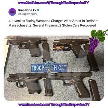 4 Juveniles Face Weapons Charges in Dedham Massachusetts; Police Recover Several Guns, 2 Stolen Cars