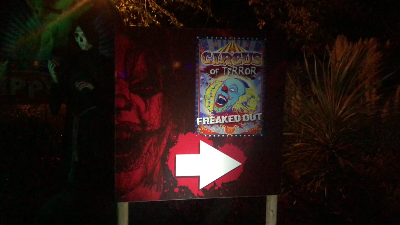 My first experience of PrimEVIL😈