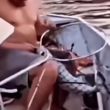Fish Bites Guy in a Bad Place