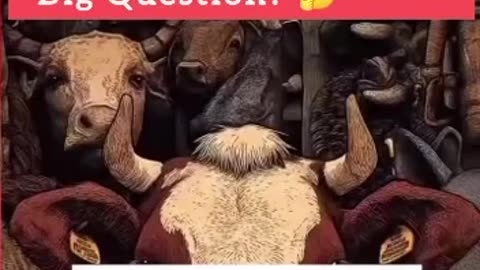 This man is raising a serious question. McDonald's sells 6.5 million burgers every single day,