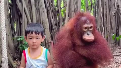 Kid's funny moments at the zoo 🤣 Get ready to laugh!