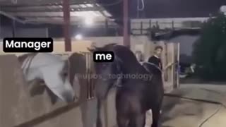 😂💥 You Won't Believe This Hilarious Argument Explosion! | FunFM