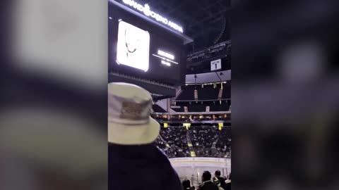 Minnesota nurse killed by federal agents remembered at hockey game