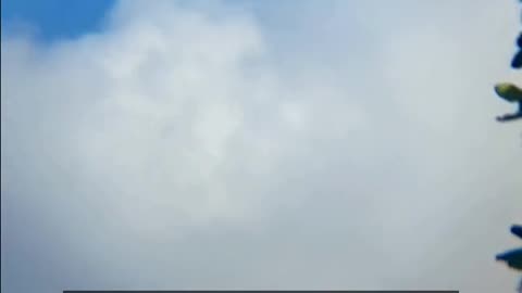 Daily Horoscope | Capricorn 🌟