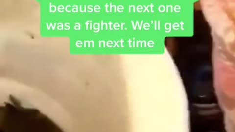 Fail Cooking Crab 🦀