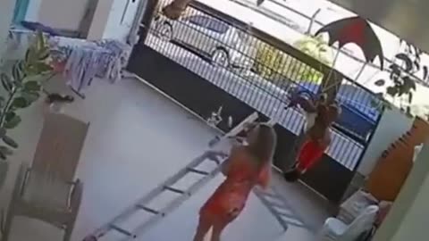 A Handyman's Ladder Mishap While Putting Up Decorations