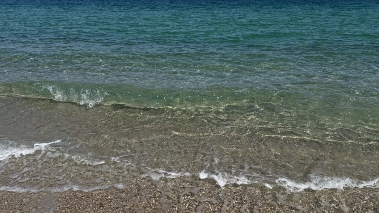 Baja s Genetic Secrets: How Deep Isolation, Ancient DNA, and Ghosts Populations Created Mexico