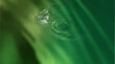 WAV - Static Delicate Stuff