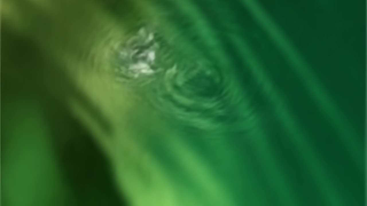 WAV - Static Delicate Stuff