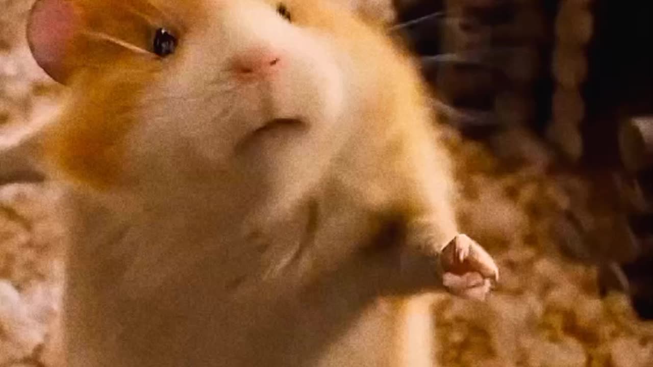 Darwin’s Mission (2023) 🐿️🚀