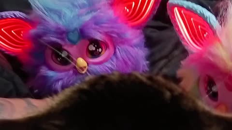 TESLA & FURBY DON'T MIX WELL