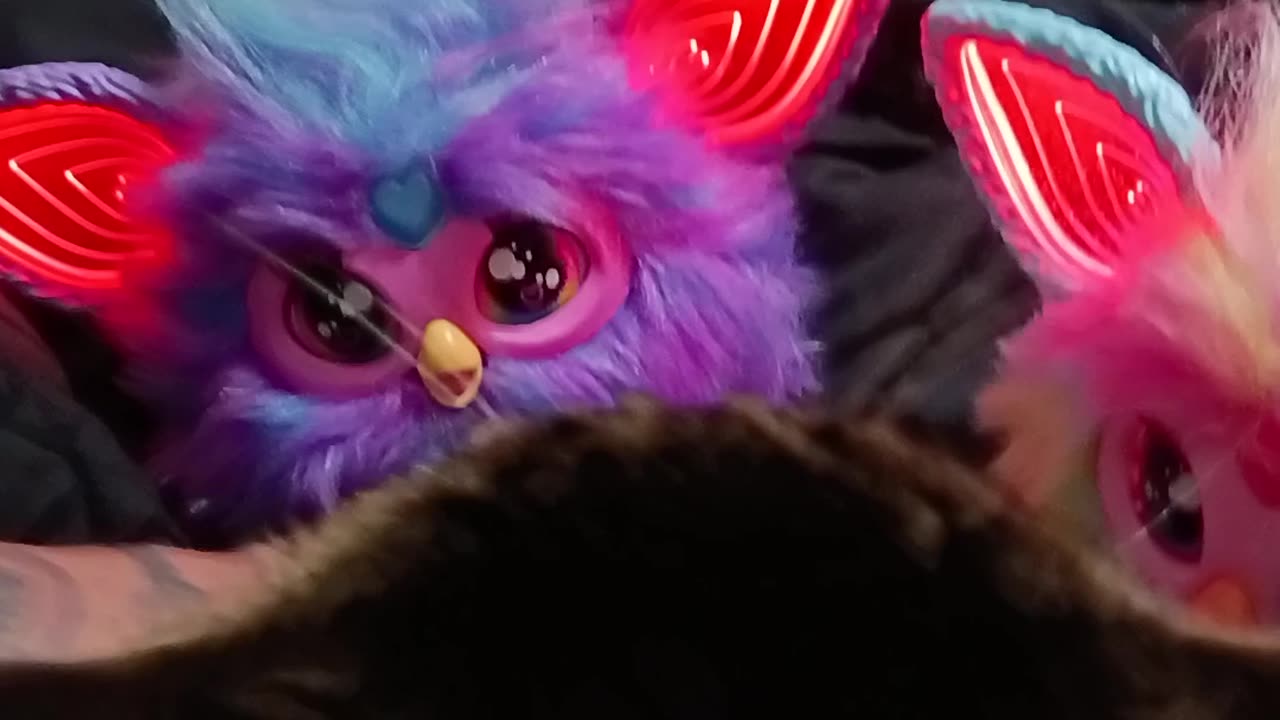 TESLA & FURBY DON'T MIX WELL