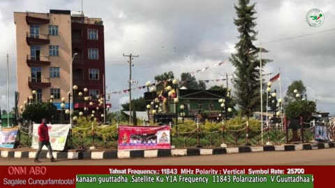 Oduu Waaree ONM-ABO Amajjii 10-2025 dhiyaadhaa!