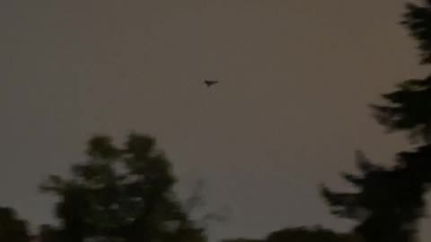 Russian Gerans Taught to Fly Low, Just Like Cruise Missiles — Footage Over Kyiv