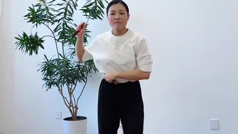 619.小小雙截棍