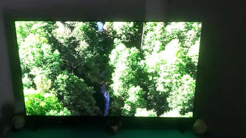 Crazy connection during WW2 between Germany and canada