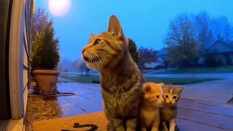 No Budy Expected This...