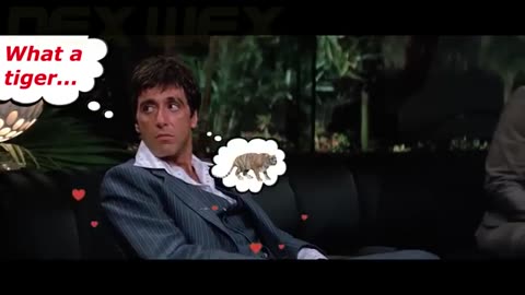 As the years go by, the true gender breaks through. - Nex Wex backup