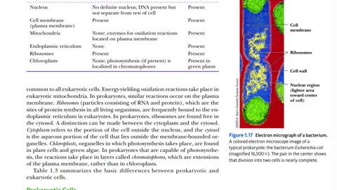 PROOF of an Endosymbiotic Theory! - Biochem Ch1 P3