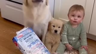 🤔👀 Don't Believe the Hype, This is Actually Hilarious! | FunFM