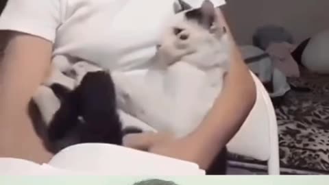Try Not To Laugh 🎭Trending Video 2 #omthapa #shorts #funny #viral #funnyvideos #funnyfails #epicfail