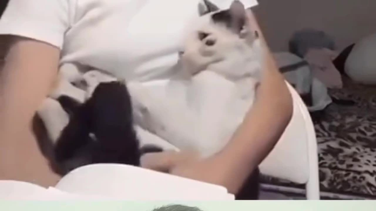 Try Not To Laugh 🎭Trending Video 2 #omthapa #shorts #funny #viral #funnyvideos #funnyfails #epicfail