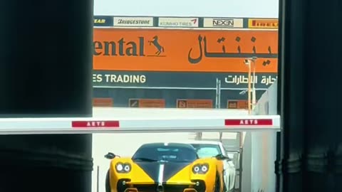 🤯💨 Dubai Supercars: Ferrari & Bugatti in Action! | LuxurySportsCars