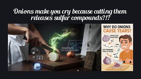 Fun Fact for Nov 1st 2025 Pt 2