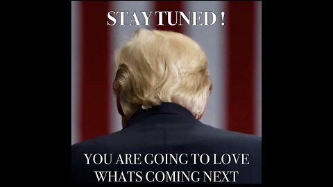 SEATBELTS 🐸 🐇😇