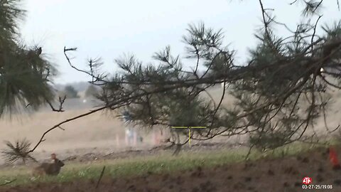 hunting wabbits