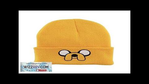 1Pcs Cute Puppy Pattern Embroidered Knitted Hat Yellow Ear Protection Hat Versatile Review