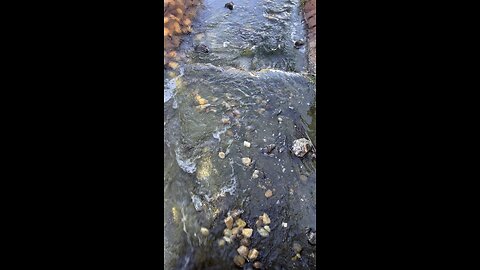 Relax with the beautiful water 🇺🇸🌊