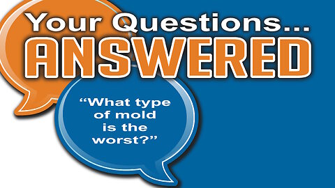 What type of Mold is the worst?