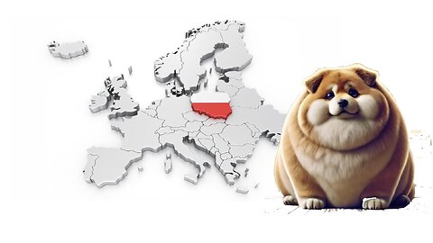 Poland, Large Shiba, Market, E Macron