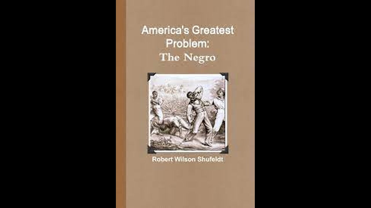 Americas Greatest Problem: the Negro by R.W. Shufeldt. Chapter 10 part 3.