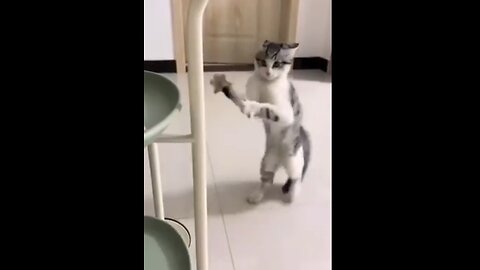 IT's CATURDAY!!
