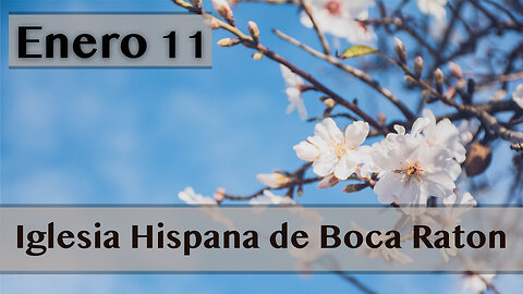 Servicio De Iglesia Hispana De Boca Raton 01/11/2026