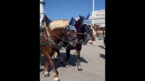 Oktoberfest Beer Festivals, Munich, Germany