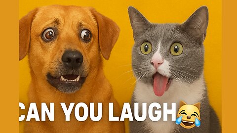 Funniest Pets Ever 😹 Try Not to Laugh Challenge 202