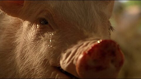 Babe (1995): The Luciferian Programming Hidden in a “Family” Film