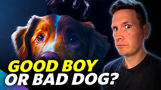 Good Boy - Movie Review