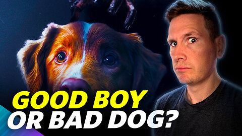 Good Boy - Movie Review